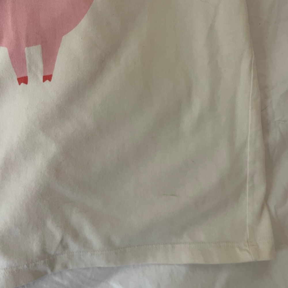 Winter Water Factory Pig Ringer T-Shirt - Picture 3 of 4